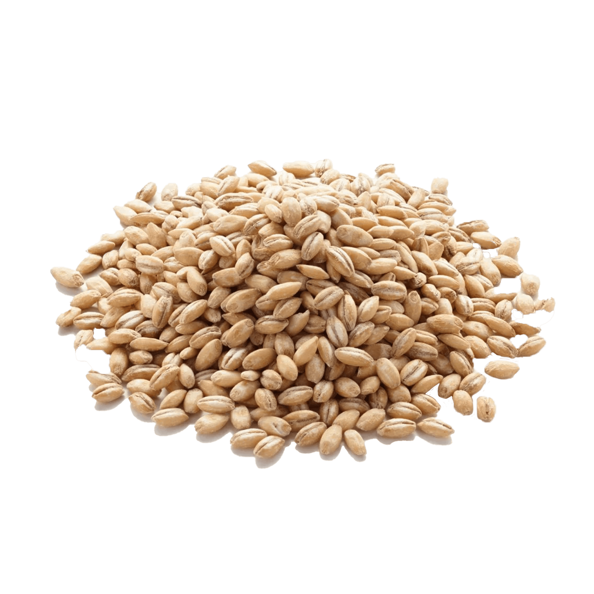 Barley
