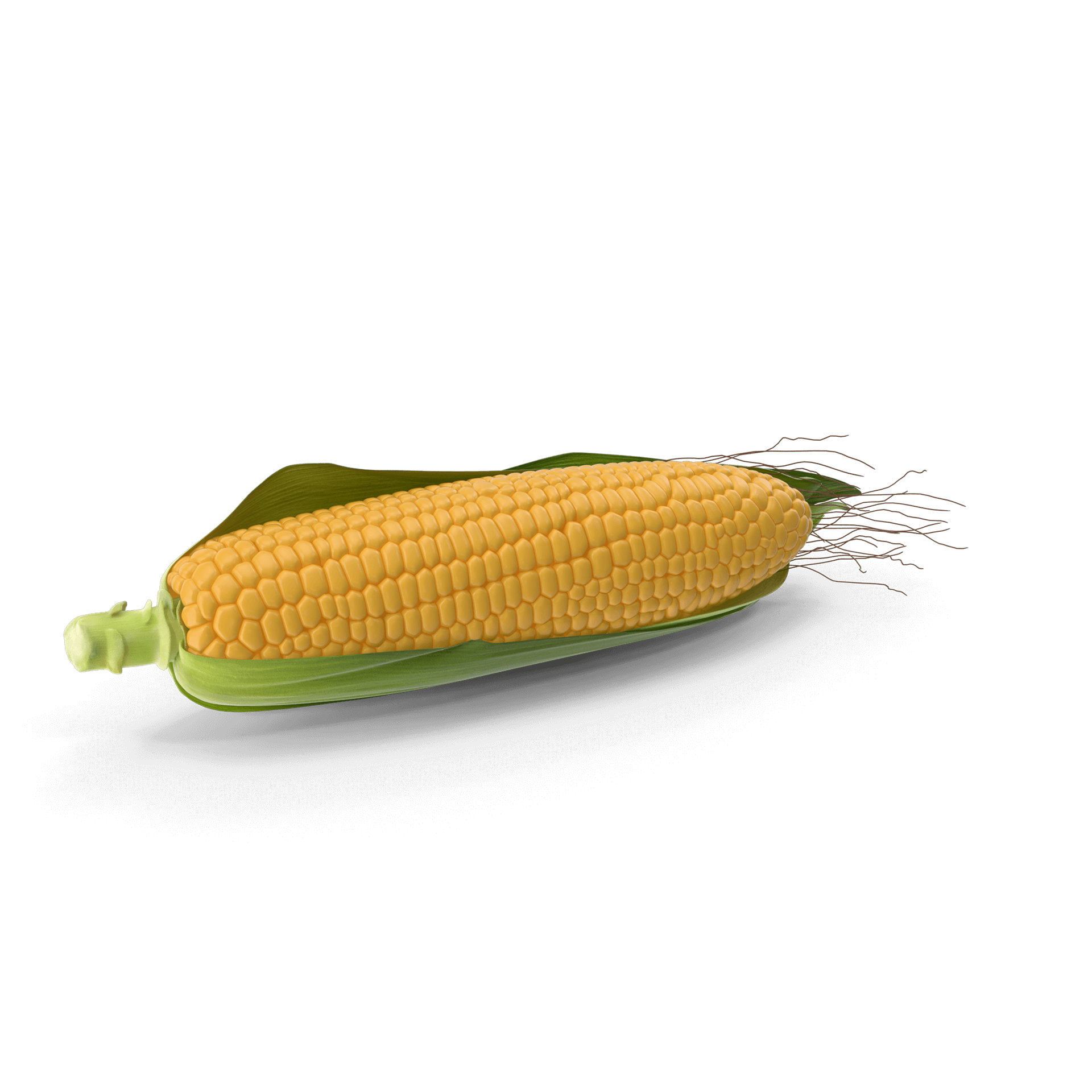 Corn